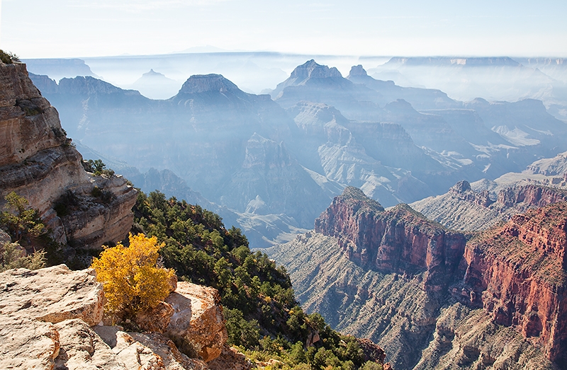 Innehalten und staunen